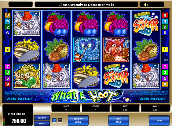 free What a Hoot no download slots